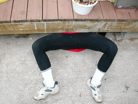 Frog legs