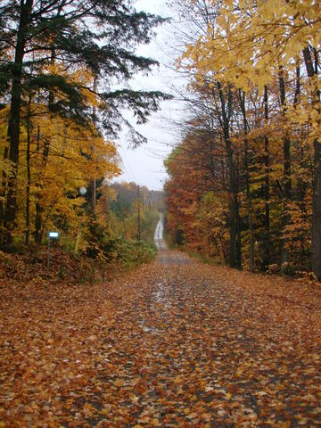View along the road, on the way home