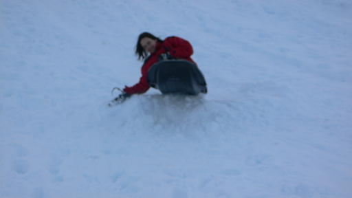 Tobogganing