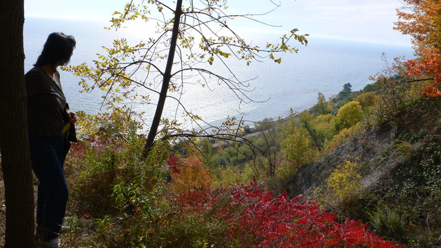 View of the lake