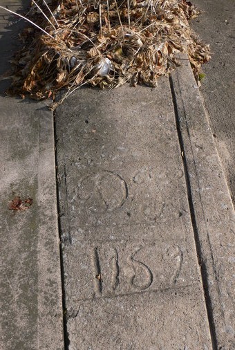 DP 1959